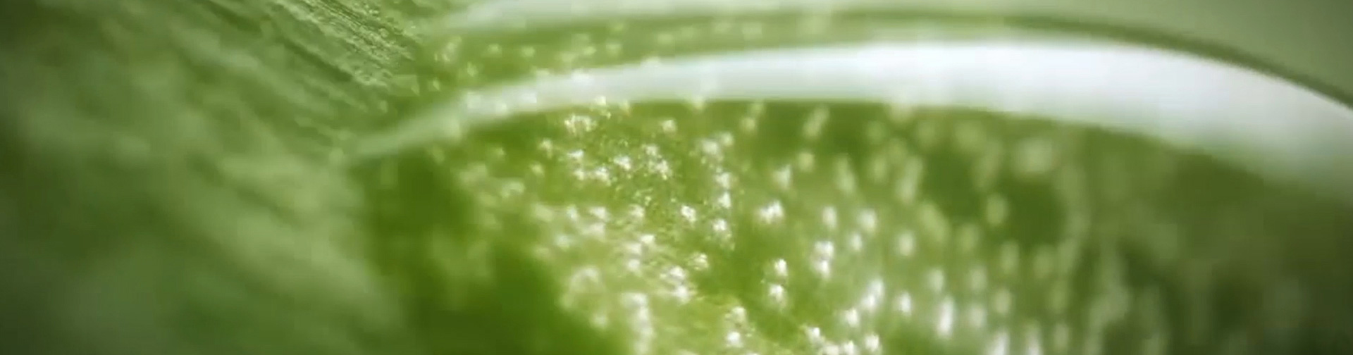 双11 ，我们准备了一份特别的盒子_NEWS_AOEO SKINCARE